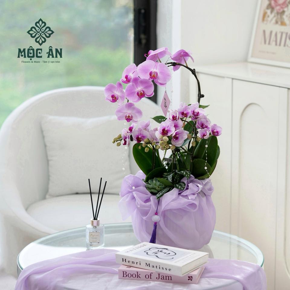 Chậu lan hồ điệp Uyển Lam bọc lụa & charm sen ngọc-duoc-ban-tai-HOA LỄ MỘC ÂN