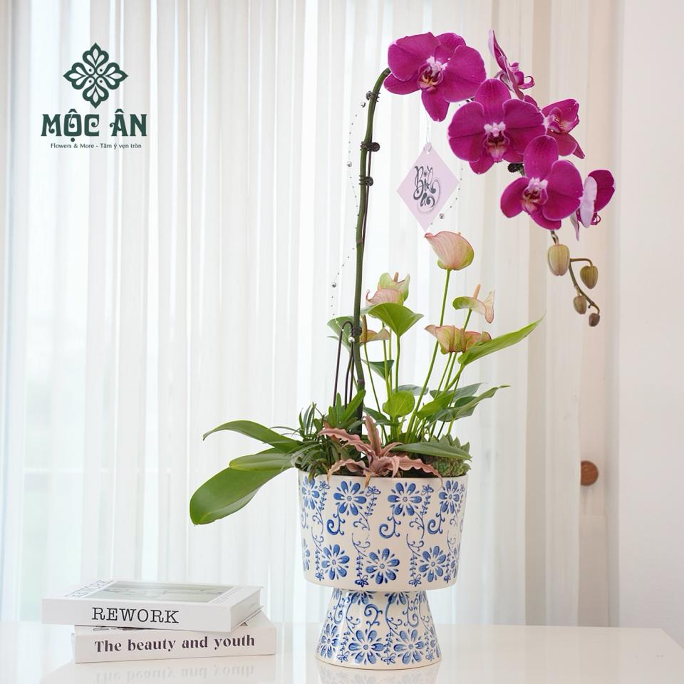 Chậu Lan Hồ Điệp Tím Men Xanh Mix Tiểu Cảnh-duoc-ban-tai-HOA LỄ MỘC ÂN