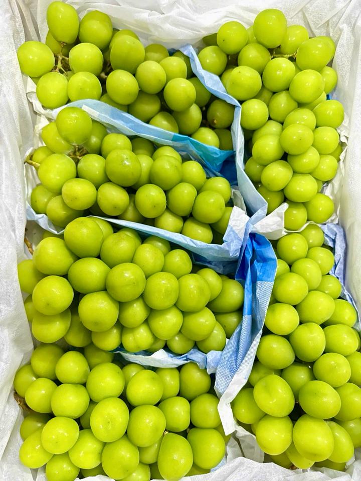 NHO MẪU ĐƠN VIP - BAO NGON-duoc-ban-tai-Siêu Thị Mini - Gia Đình Food