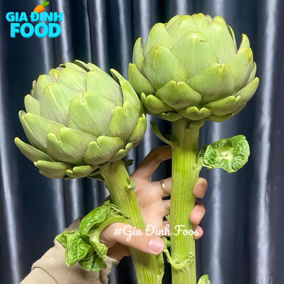 Atiso tươi ĐÀ LẠT SKY 500g - Nông Sản Tự Trồng-duoc-ban-tai-Siêu Thị Mini - Gia Đình Food