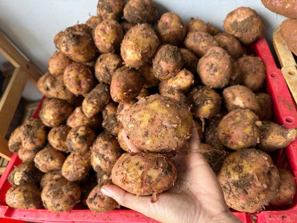 Khoai Tây Đà Lạt 500g-duoc-ban-tai-Siêu Thị Mini - Gia Đình Food