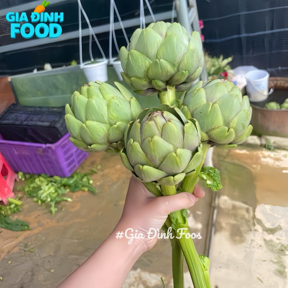 Atiso tươi ĐÀ LẠT SKY 500g - Nông Sản Tự Trồng-duoc-ban-tai-Siêu Thị Mini - Gia Đình Food