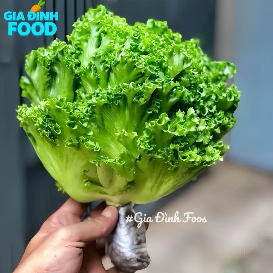 Rau xà lách Đà Lạt 300g - Nông Sản Tự Trồng-duoc-ban-tai-Siêu Thị Mini - Gia Đình Food