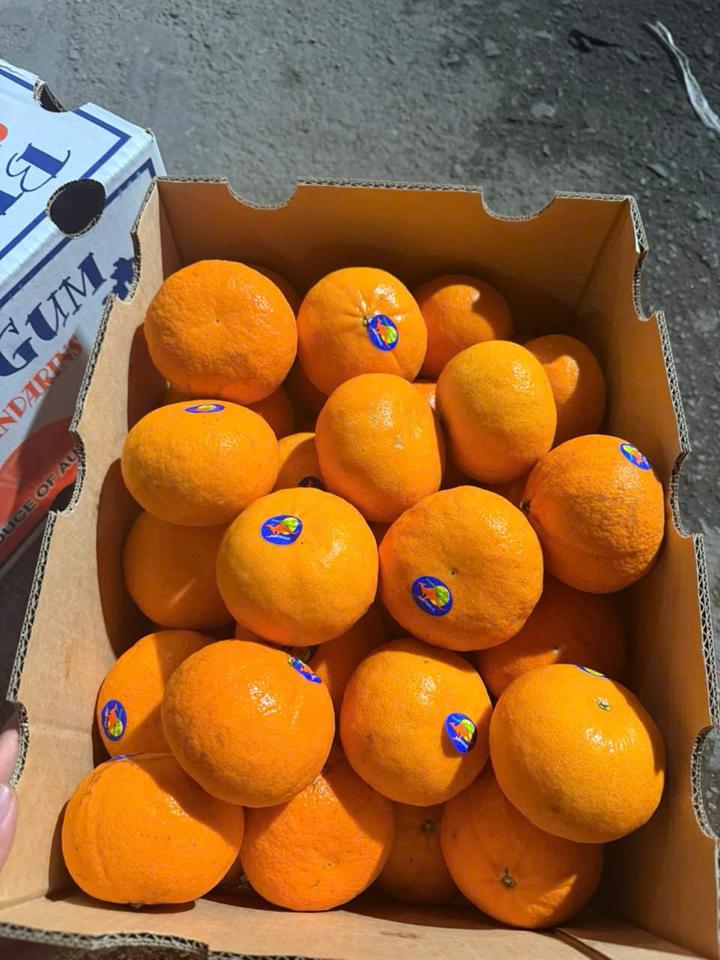 Quýt Úc Blue Gum Giá - 1KG-duoc-ban-tai-Siêu Thị Mini - Gia Đình Food