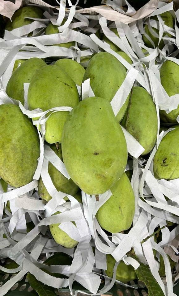 Xoài Keo ( VN ) 1KG-duoc-ban-tai-Siêu Thị Mini - Gia Đình Food