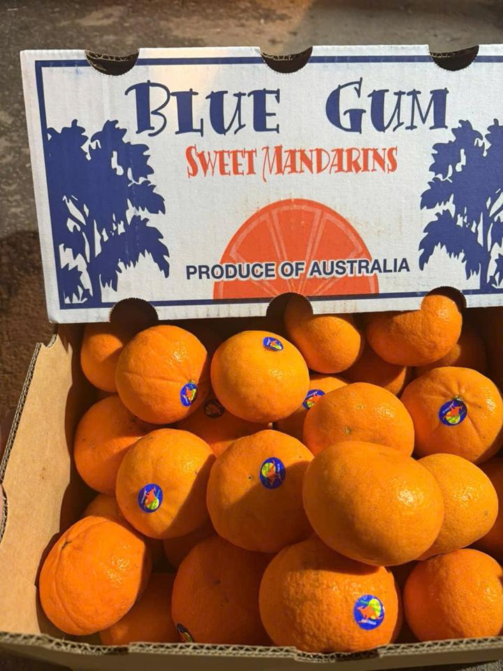 Quýt Úc Blue Gum Giá - 1KG-duoc-ban-tai-Siêu Thị Mini - Gia Đình Food