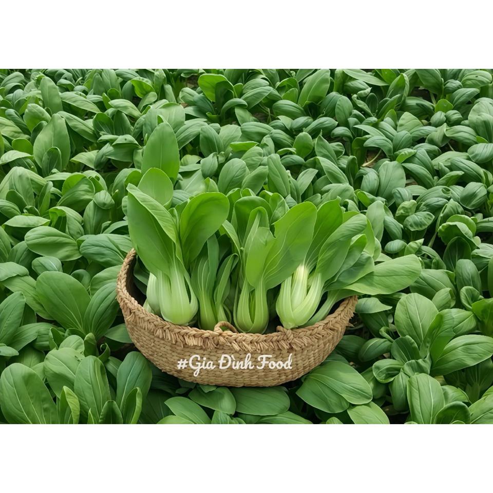 Cải Thìa Đà Lạt 600g, CẢI CHÍP tươi ngon - Hàng nhập về mỗi ngày, đảm bảo tươi ngon, chất lượng - Ship hoả tốc-duoc-ban-tai-Siêu Thị Mini - Gia Đình Food