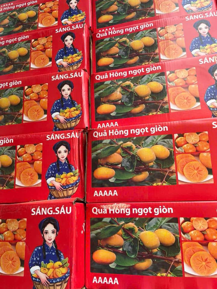 Hồng giòn không hạt - Trái to tròn-duoc-ban-tai-Siêu Thị Mini - Gia Đình Food