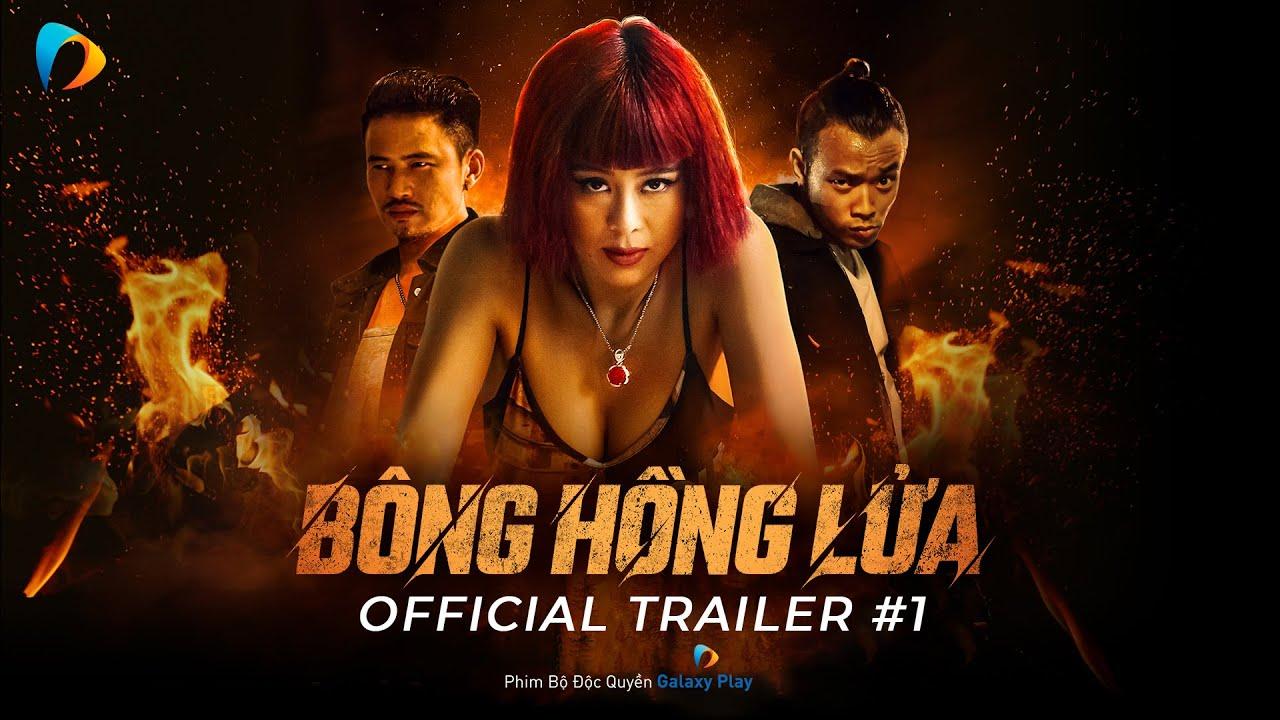 BÔNG HỒNG LỬA-duoc-ban-tai-HOA CỎ MAY