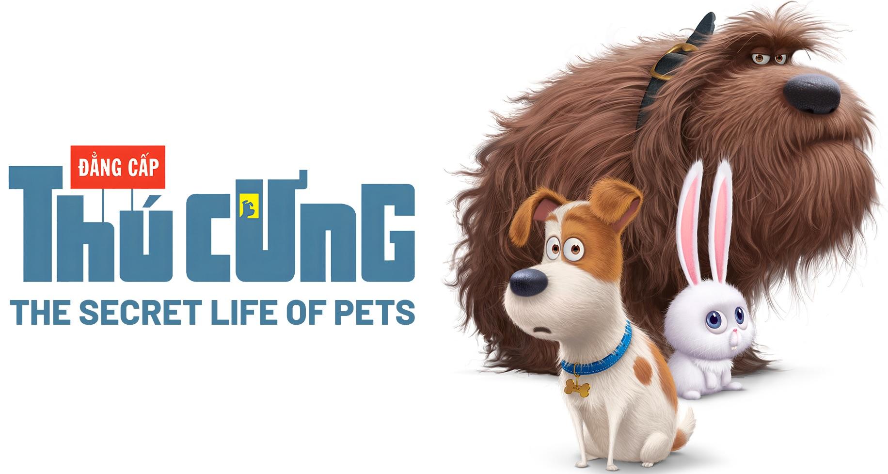 ĐẲNG CẤP THÚ CƯNG 1-duoc-ban-tai-HOA CỎ MAY