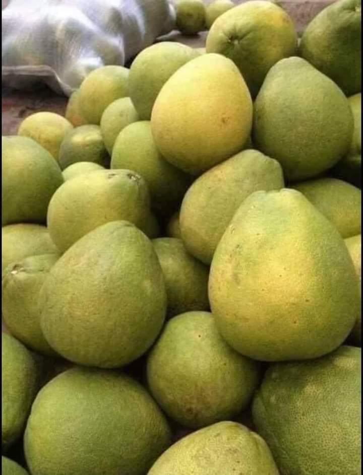 Bưởi 5 roi-duoc-ban-tai-Thao Xinh shop