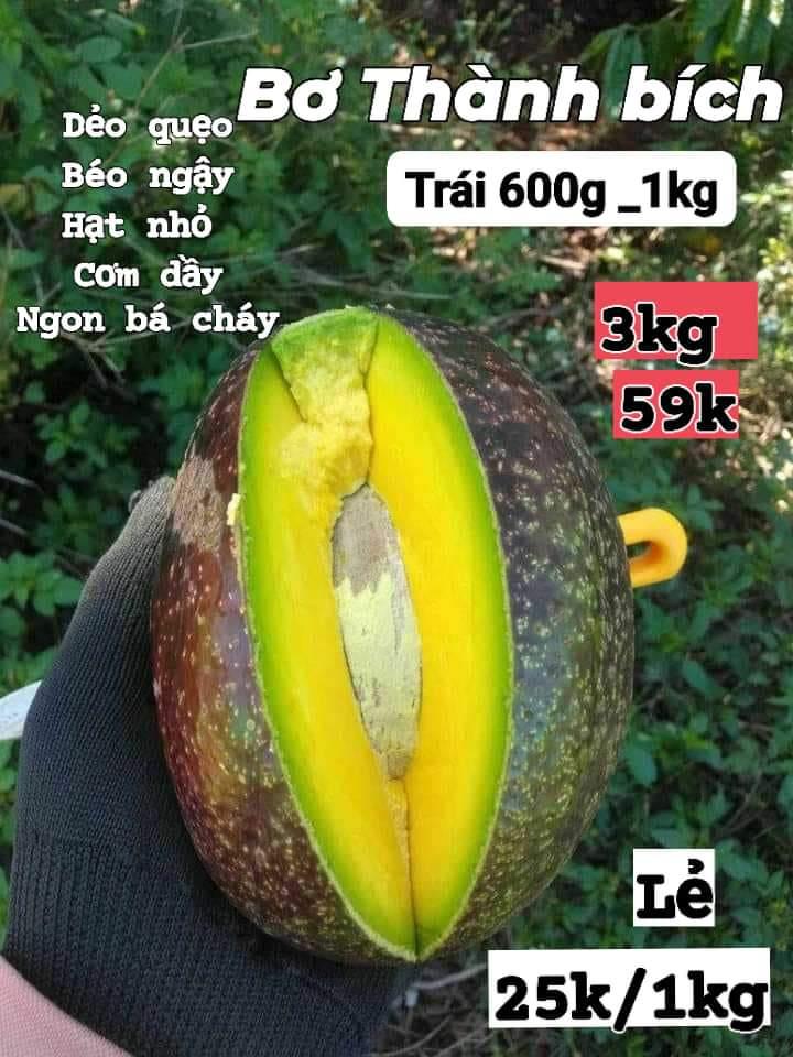 Bơ Thành Bích nhà trồng-duoc-ban-tai-Shop Mẹ Chip