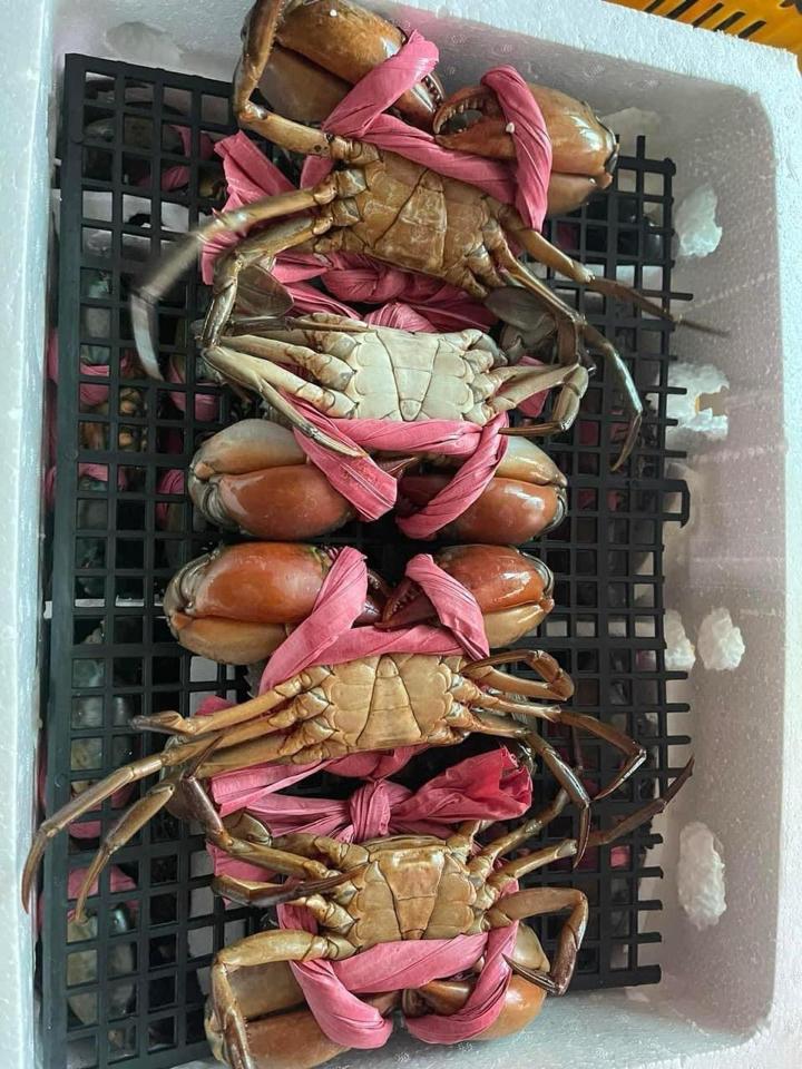 Cua Thịt nhỡ -duoc-ban-tai-Hải Sản Trâm Nguyễn