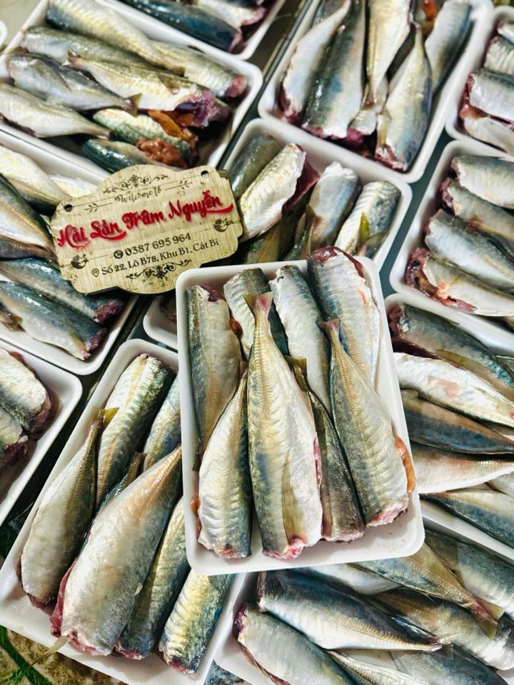 Nục tươi-duoc-ban-tai-Hải Sản Trâm Nguyễn