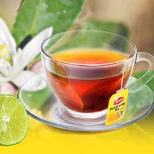 Lipton Nóng -duoc-ban-tai-CHILL COFFEE