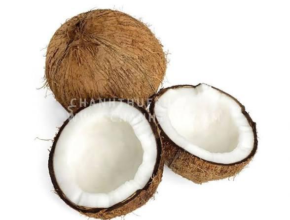 Dừa-duoc-ban-tai-Cà phê Điểm Hẹn