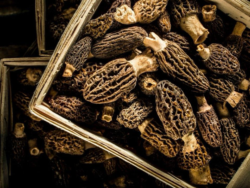Nấm Morel -duoc-ban-tai-4SFoodshop - Thực Phẩm Cao Cấp