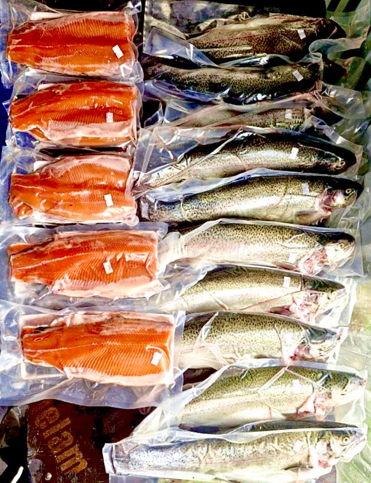 Cá hồi Sapa tươi -duoc-ban-tai-4SFoodshop - Thực Phẩm Cao Cấp