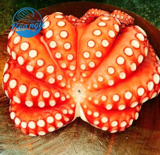 Bạch Tuộc Nhật-duoc-ban-tai-4SFoodshop - Thực Phẩm Cao Cấp