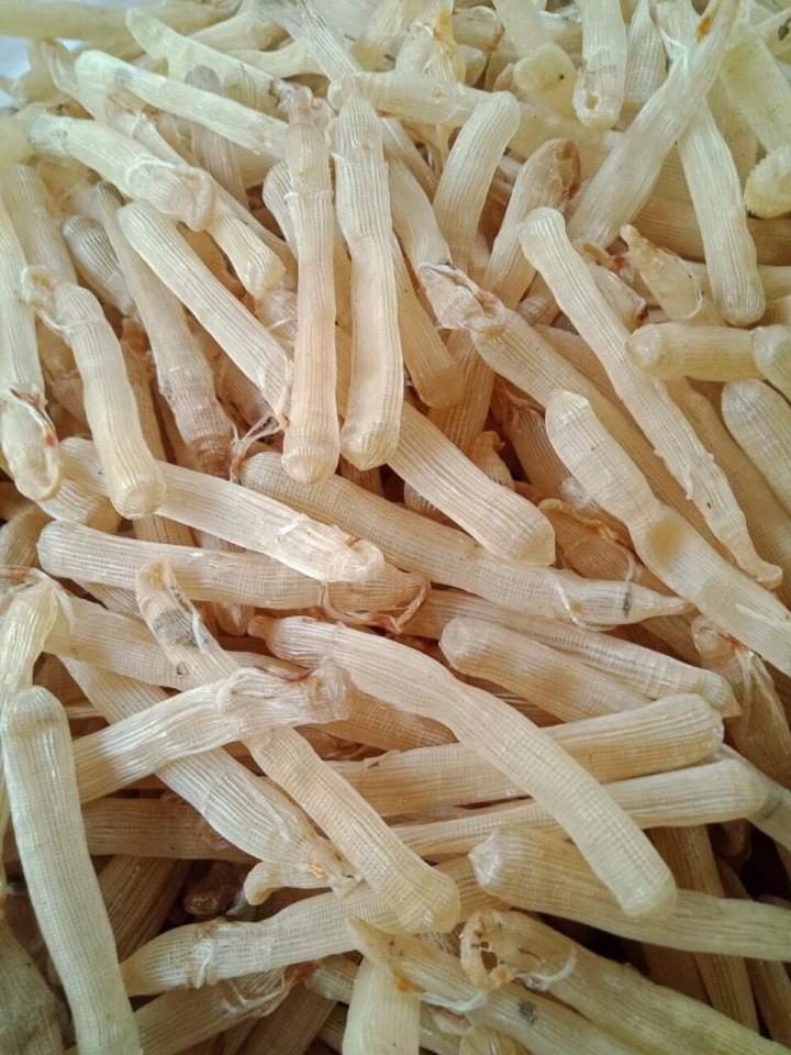 Sá Sùng Quan Lạn (Quảng Ninh)-duoc-ban-tai-4SFoodshop - Thực Phẩm Cao Cấp