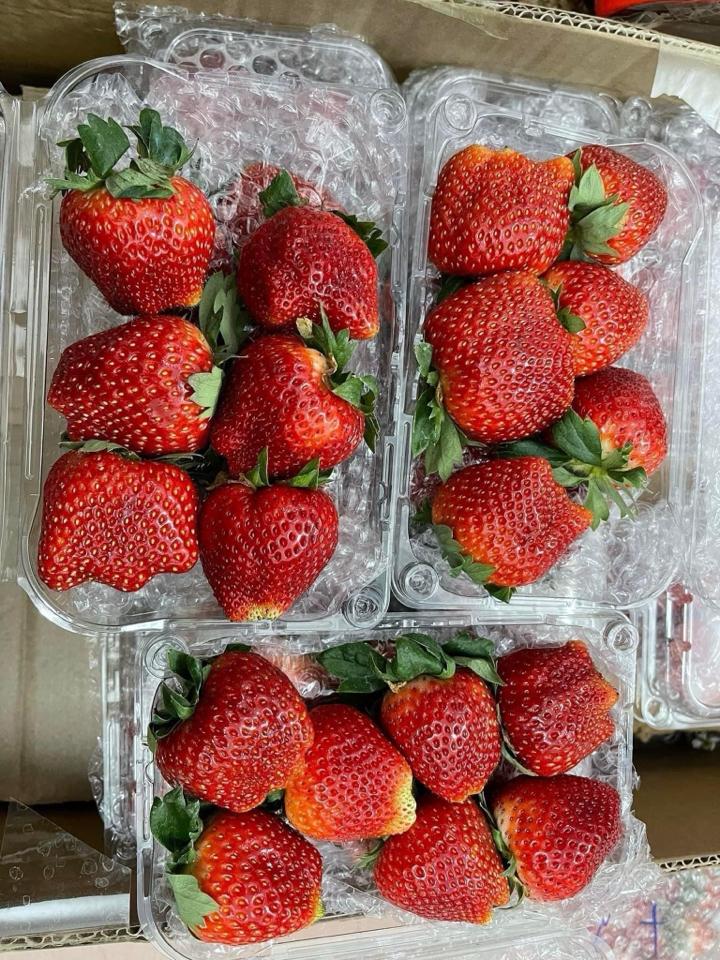 Dâu Hana Mộc Châu-duoc-ban-tai-4SFoodshop - Thực Phẩm Cao Cấp
