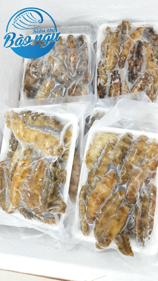 Hải Sâm Gai Vàng (Tươi)-duoc-ban-tai-4SFoodshop - Thực Phẩm Cao Cấp