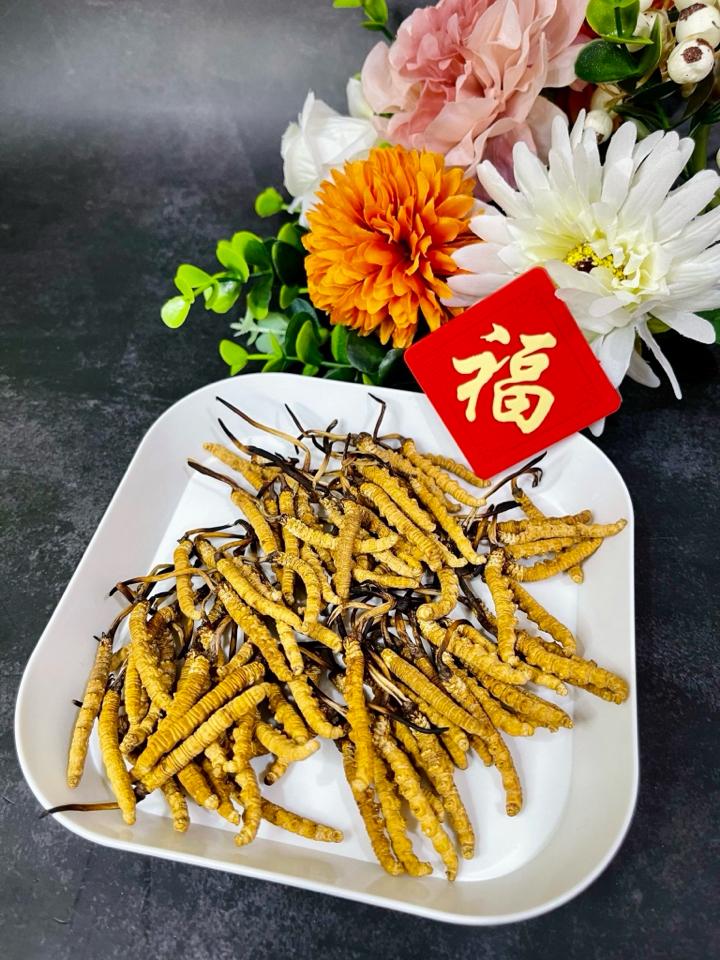 Đông Trùng Hạ Thảo Tây Tạng-duoc-ban-tai-4SFoodshop - Thực Phẩm Cao Cấp