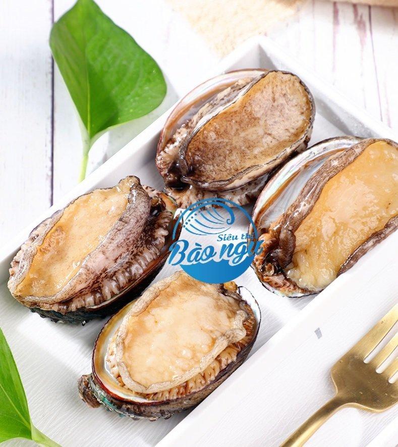 Bào ngư Hàn Quốc sống-duoc-ban-tai-4SFoodshop - Thực Phẩm Cao Cấp