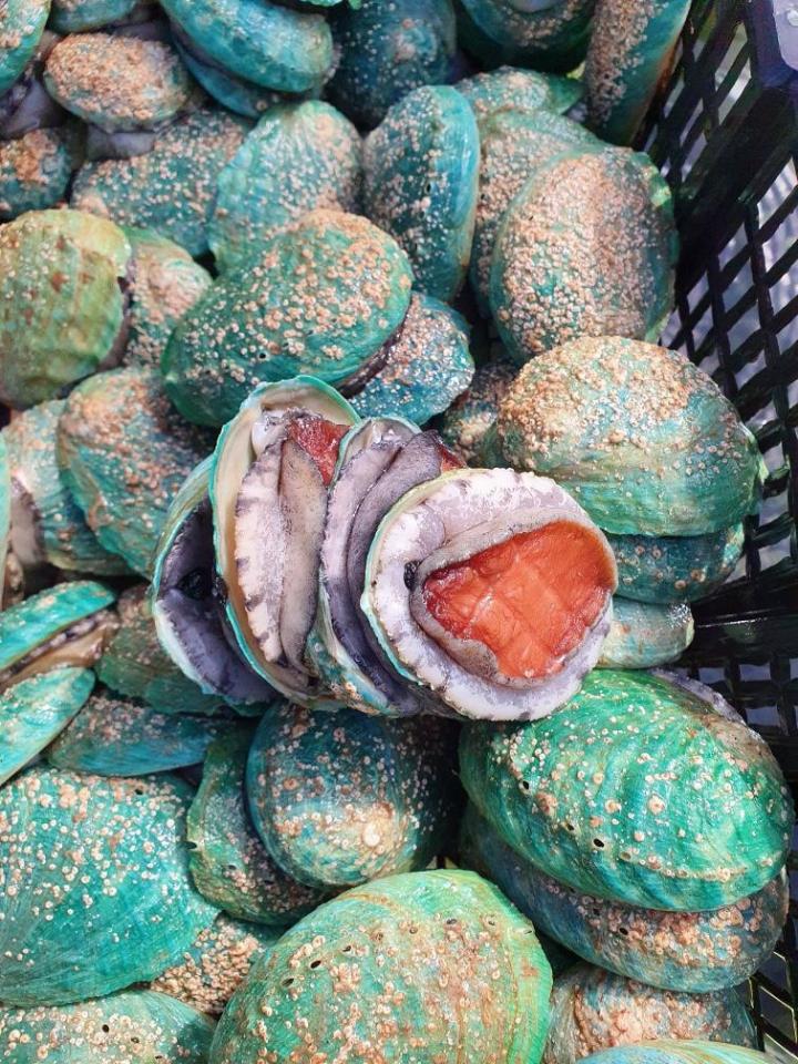Bào Ngư Ngọc Bích-duoc-ban-tai-4SFoodshop - Thực Phẩm Cao Cấp