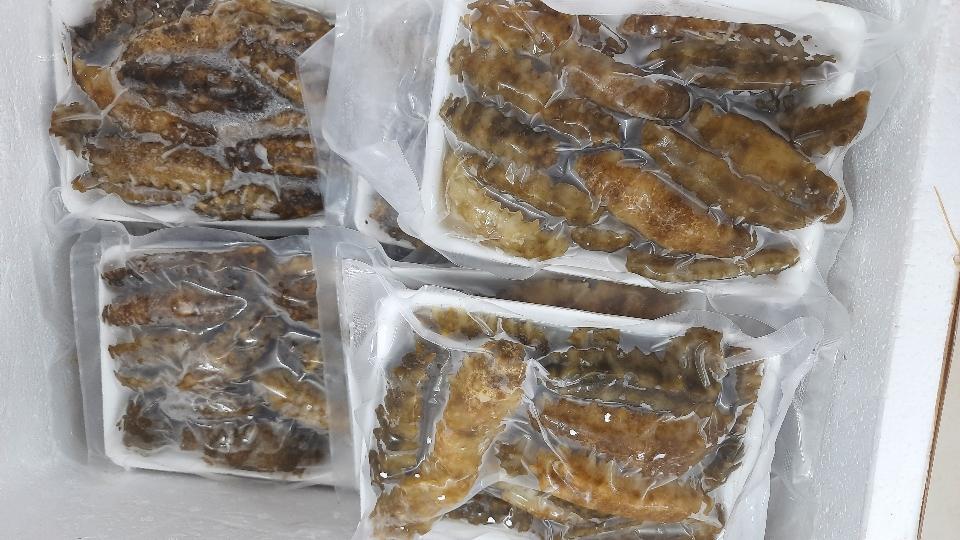Hải Sâm Gai Vàng (Tươi)-duoc-ban-tai-4SFoodshop - Thực Phẩm Cao Cấp