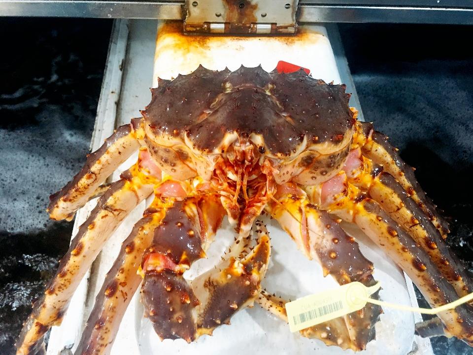 Cua Hoàng Đế (King Crab đỏ)-duoc-ban-tai-4SFoodshop - Thực Phẩm Cao Cấp