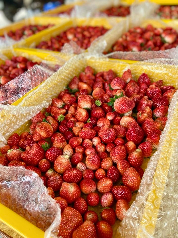 Dâu Hana Mộc Châu-duoc-ban-tai-4SFoodshop - Thực Phẩm Cao Cấp