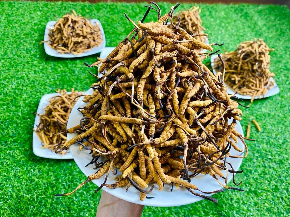 Đông Trùng Hạ Thảo Tây Tạng-duoc-ban-tai-4SFoodshop - Thực Phẩm Cao Cấp