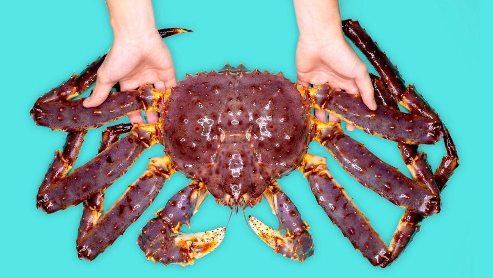 Cua Hoàng Đế (King Crab đỏ)-duoc-ban-tai-4SFoodshop - Thực Phẩm Cao Cấp