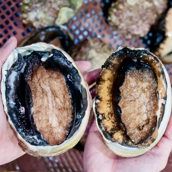 Bào Ngư Úc Viền Đen-duoc-ban-tai-4SFoodshop - Thực Phẩm Cao Cấp