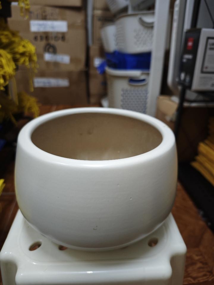 Chậu Trắng (Cao 10cm, Miệng 20cm)-duoc-ban-tai-TẠP HOÁ 805