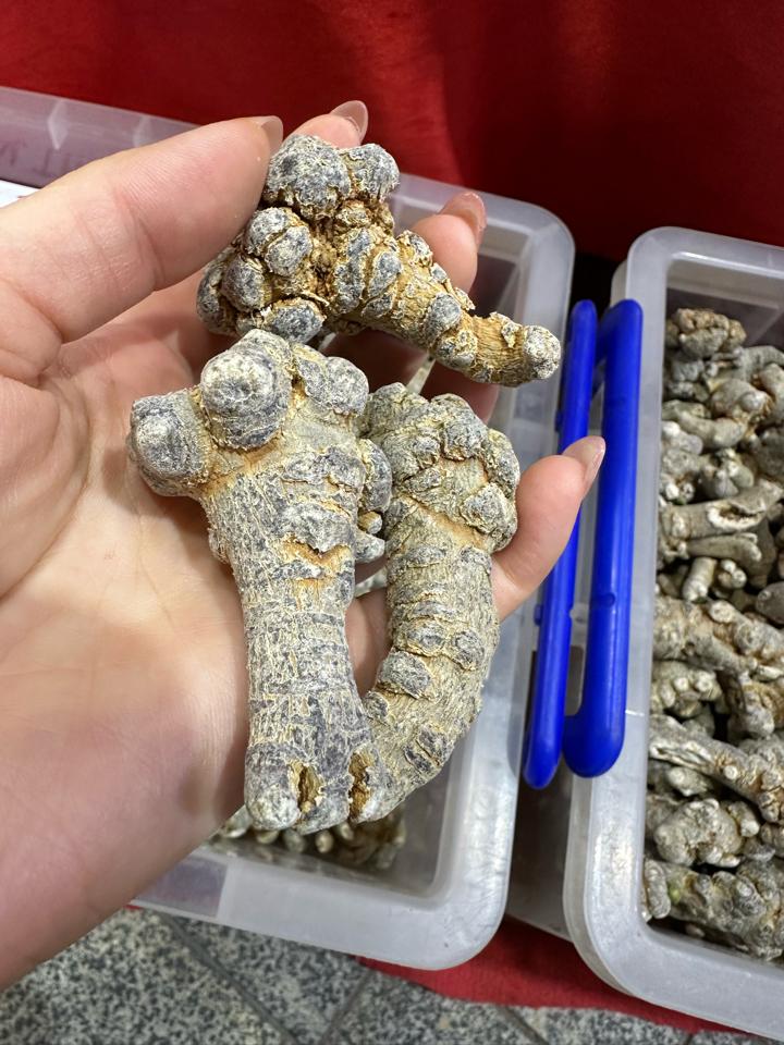 Tam thất thượng hạng - special (dạng bột và dạng nguyên củ)-duoc-ban-tai-Siêu thị Special