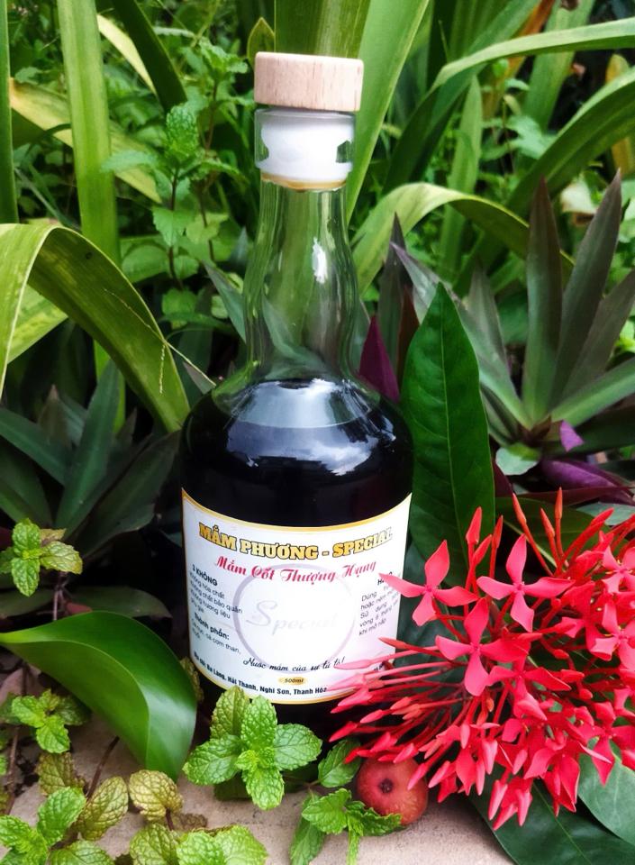 Mắm Phương - Special (Mắm cốt Thượng hạng loại chai thuỷ tinh 500ml - Cá cơm + cá nục ủ trong 4 năm)-duoc-ban-tai-Siêu thị Special