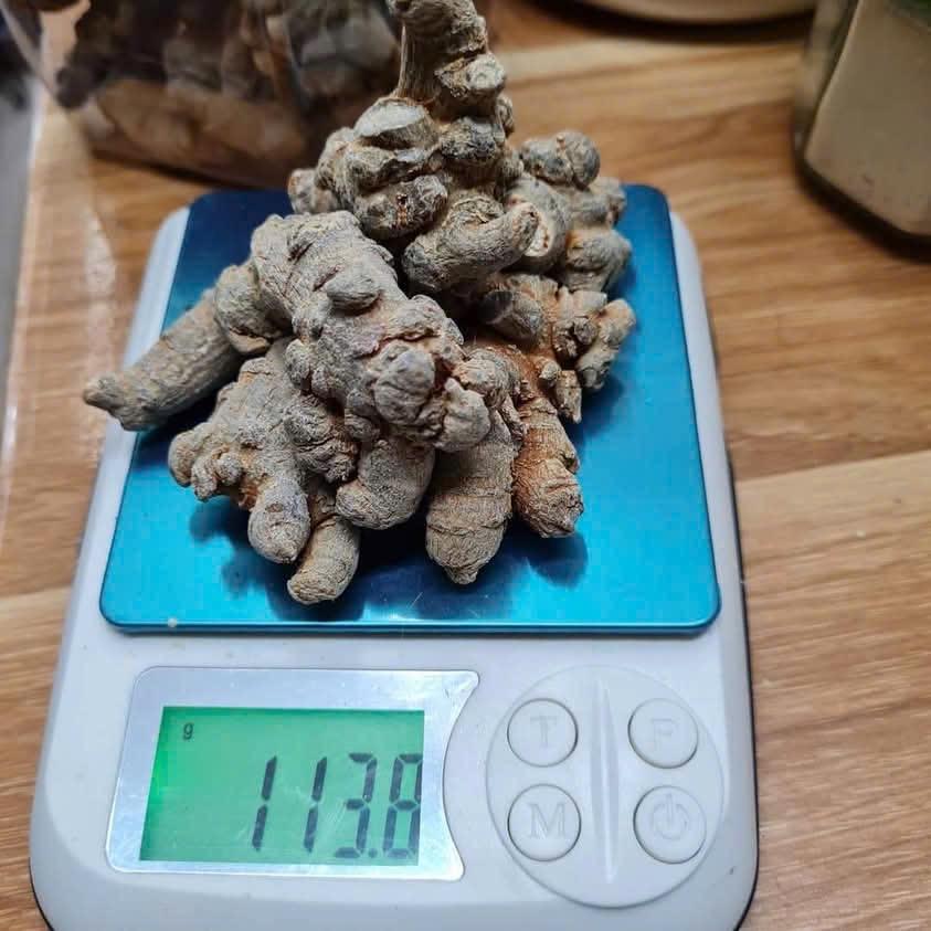 Tam thất thượng hạng - special (dạng bột và dạng nguyên củ)-duoc-ban-tai-Siêu thị Special