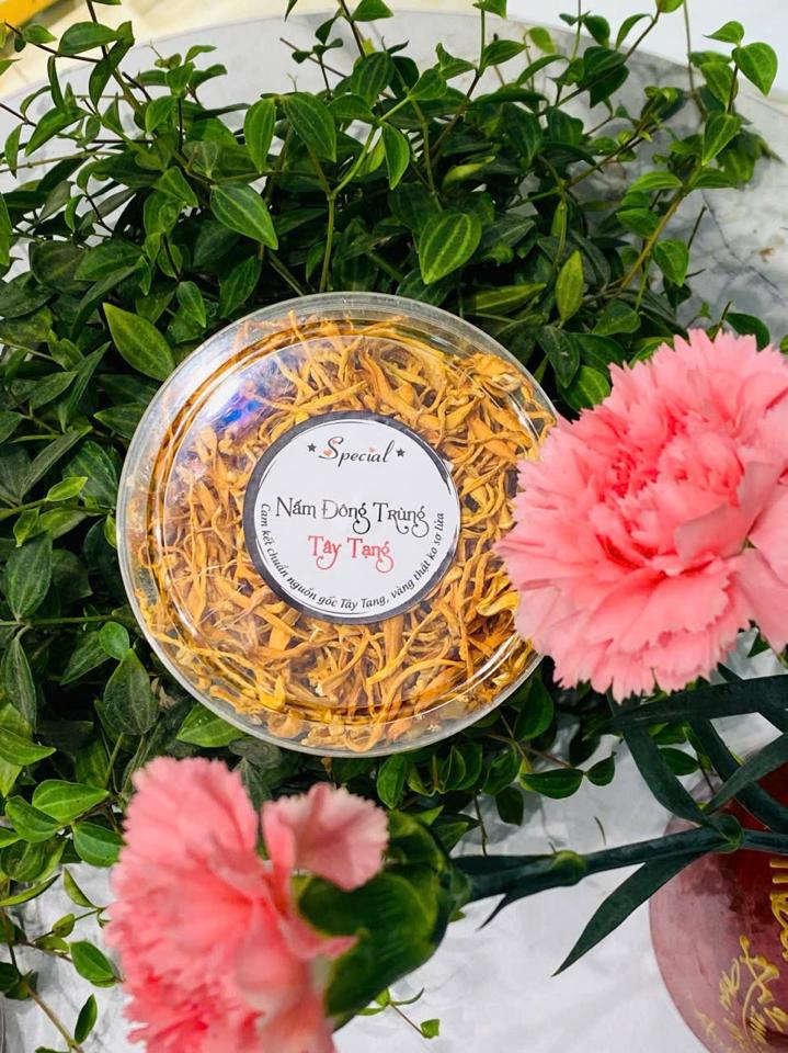 Nấm Đông Trùng xuất xứ Tây Tạng-duoc-ban-tai-Siêu thị Special