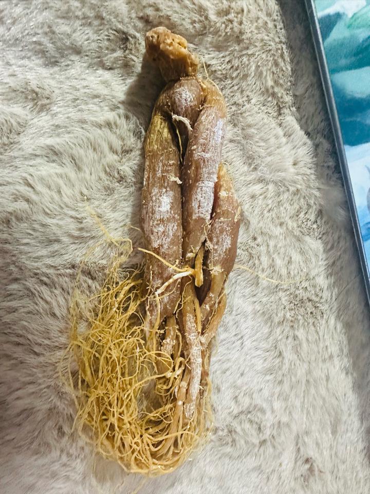 Sâm Trường Bạch-duoc-ban-tai-Siêu thị Special