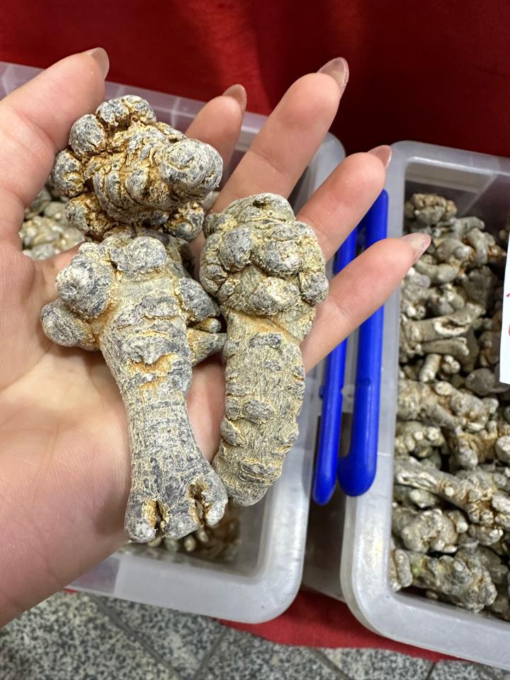 Tam thất thượng hạng - special (dạng bột và dạng nguyên củ)-duoc-ban-tai-Siêu thị Special