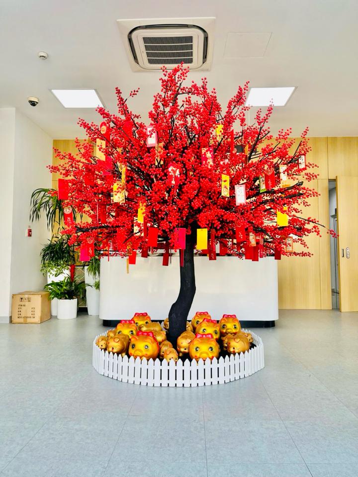 CÂY ĐÀO ĐÔNG ĐỎ-duoc-ban-tai-TRẦN LÊ SHOW