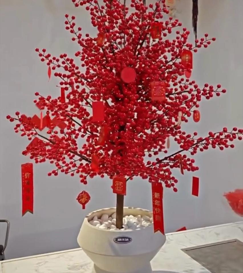 CHẬU HOA ĐỒNG ĐÀO ĐỎ-duoc-ban-tai-TRẦN LÊ SHOW