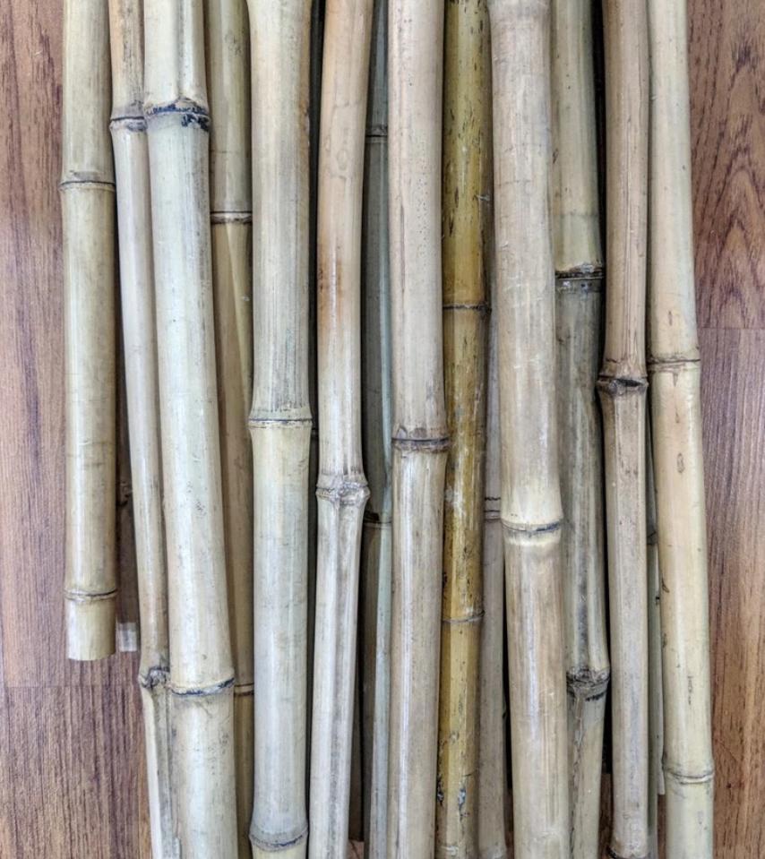 CÂY TRE TRÚC KHÔ-duoc-ban-tai-TRẦN LÊ SHOW