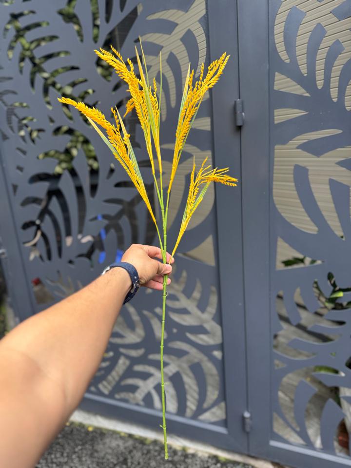 NHÁNH LÚA ĐẠO CỤ-duoc-ban-tai-TRẦN LÊ SHOW