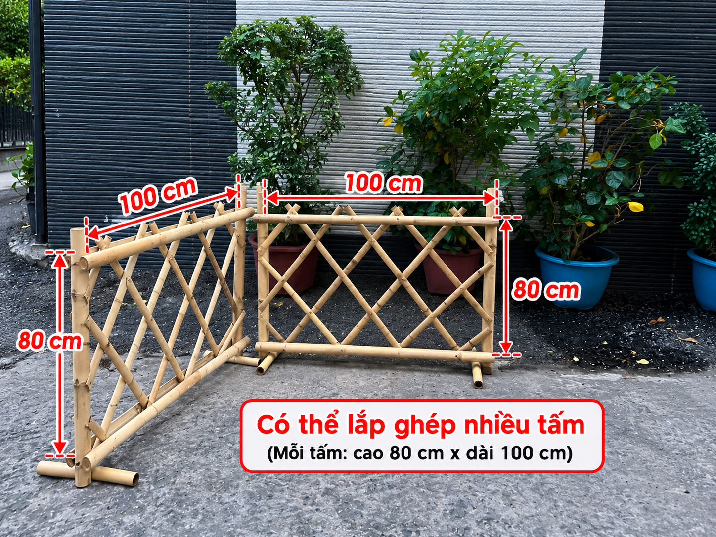 HÀNG RÀO TRE-duoc-ban-tai-TRẦN LÊ SHOW