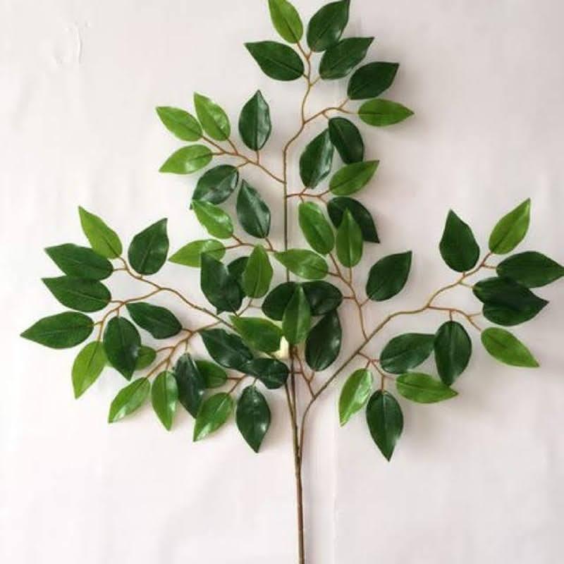 CHO THUÊ LÁ CÂY ĐẠO CỤ-duoc-ban-tai-TRẦN LÊ SHOW