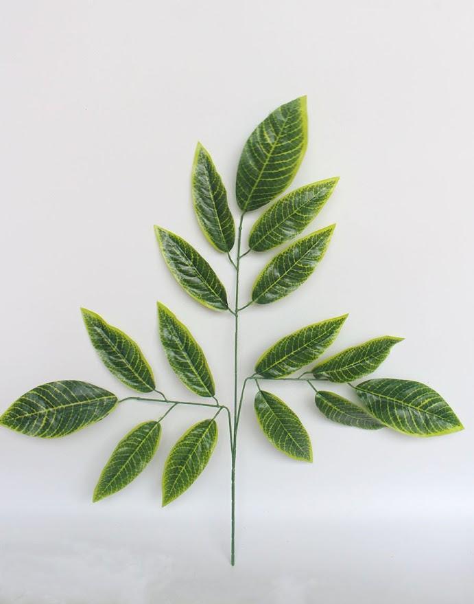 CHO THUÊ LÁ CÂY ĐẠO CỤ-duoc-ban-tai-TRẦN LÊ SHOW