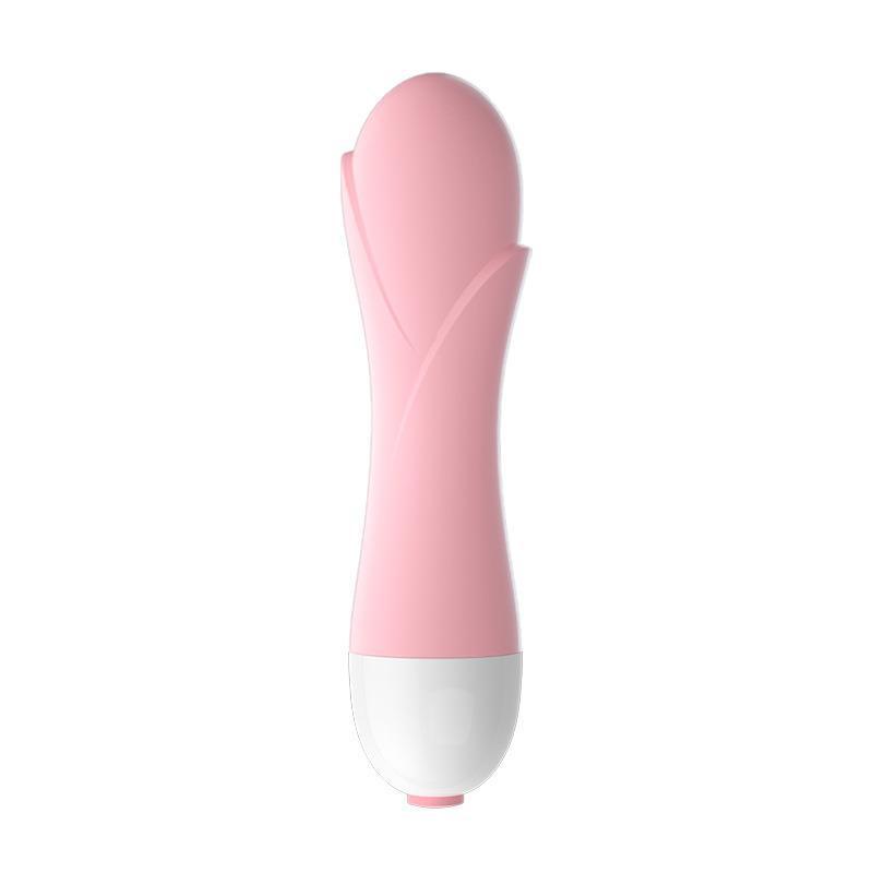 Máy rung Mini-duoc-ban-tai-Xích Đạo Shop